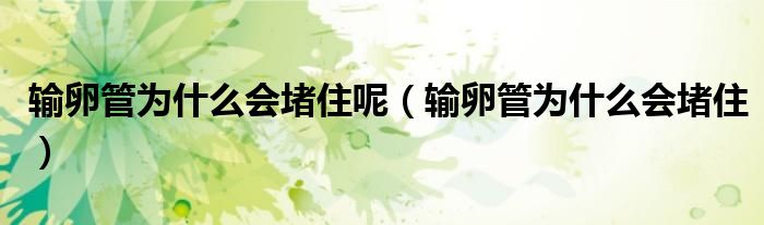 輸卵管為什么會堵住呢（輸卵管為什么會堵?。? /></span>
		<span id=