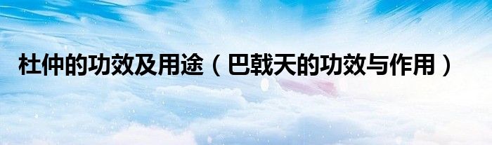 杜仲的功效及用途（巴戟天的功效與作用）