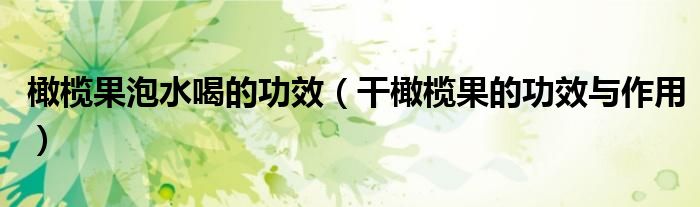 橄欖果泡水喝的功效(干橄欖果的功效與作用)