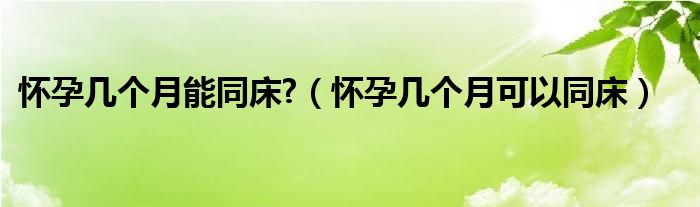 懷孕幾個(gè)月能同床?（懷孕幾個(gè)月可以同床）