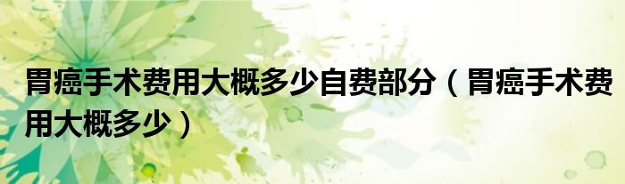 胃癌手術(shù)費用大概多少自費部分（胃癌手術(shù)費用大概多少）