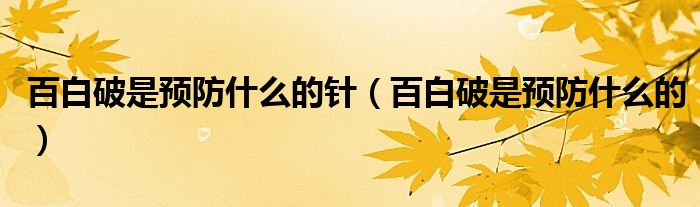 百白破是預(yù)防什么的針(百白破是預(yù)防什么的)