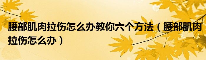 腰部肌肉拉傷怎么辦教你六個方法（腰部肌肉拉傷怎么辦）