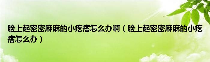 臉上起密密麻麻的小疙瘩怎么辦?。樕掀鹈苊苈槁榈男「泶裨趺崔k）