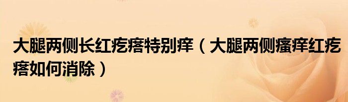 大腿兩側(cè)長(zhǎng)紅疙瘩特別癢（大腿兩側(cè)瘙癢紅疙瘩如何消除）