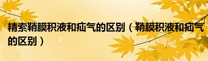精索鞘膜積液和疝氣的區(qū)別(鞘膜積液和疝氣的區(qū)別)