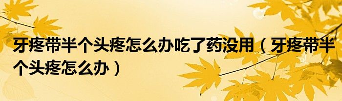 牙疼帶半個(gè)頭疼怎么辦吃了藥沒(méi)用（牙疼帶半個(gè)頭疼怎么辦）