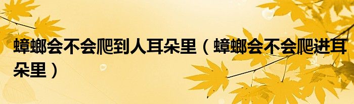蟑螂會不會爬到人耳朵里（蟑螂會不會爬進(jìn)耳朵里）