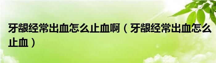 牙齦經(jīng)常出血怎么止血?。ㄑ例l經(jīng)常出血怎么止血）