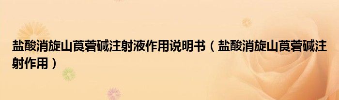 鹽酸消旋山莨菪堿注射液作用說(shuō)明書（鹽酸消旋山莨菪堿注射作用）