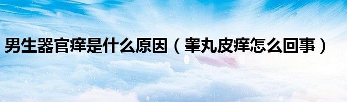 男生器官癢是什么原因（睪丸皮癢怎么回事）