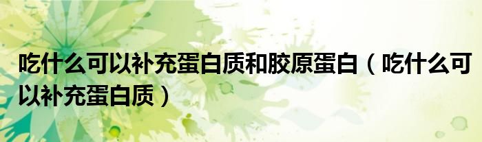 吃什么可以補(bǔ)充蛋白質(zhì)和膠原蛋白(吃什么可以補(bǔ)充蛋白質(zhì))