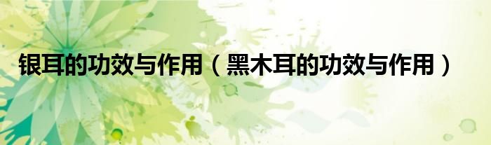 銀耳的功效與作用（黑木耳的功效與作用）