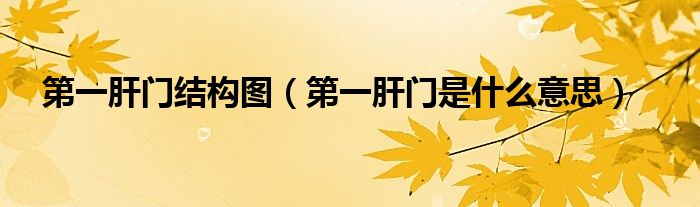 第一肝門結(jié)構(gòu)圖（第一肝門是什么意思）