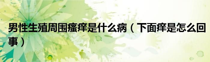 男性生殖周?chē)W是什么?。ㄏ旅姘W是怎么回事）