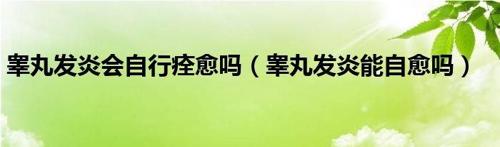 睪丸發(fā)炎會自行痊愈嗎(睪丸發(fā)炎能自愈嗎)