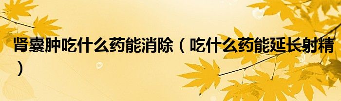 腎囊腫吃什么藥能消除(吃什么藥能延長(zhǎng)射精)