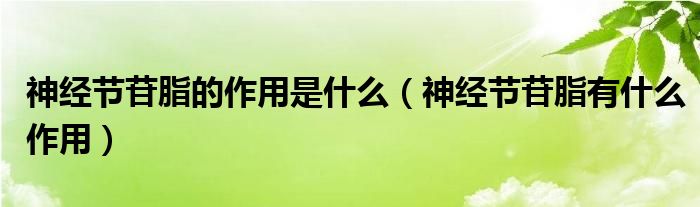 神經(jīng)節(jié)苷脂的作用是什么（神經(jīng)節(jié)苷脂有什么作用）