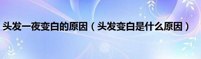 頭發(fā)一夜變白的原因（頭發(fā)變白是什么原因）