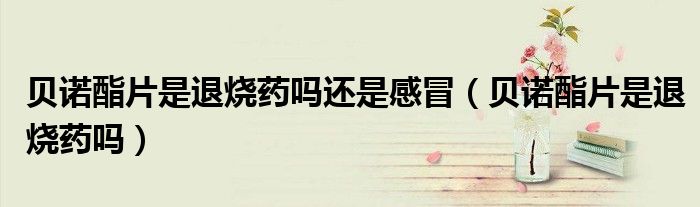 貝諾酯片是退燒藥嗎還是感冒(貝諾酯片是退燒藥嗎)