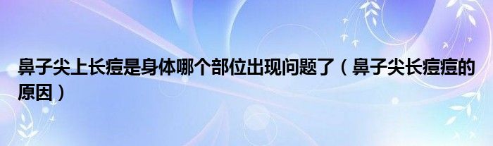 鼻子尖上長痘是身體哪個部位出現(xiàn)問題了(鼻子尖長痘痘的原因)