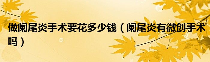 做闌尾炎手術(shù)要花多少錢（闌尾炎有微創(chuàng)手術(shù)嗎）