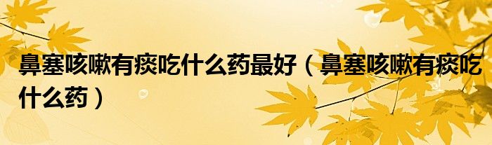 鼻塞咳嗽有痰吃什么藥最好（鼻塞咳嗽有痰吃什么藥）