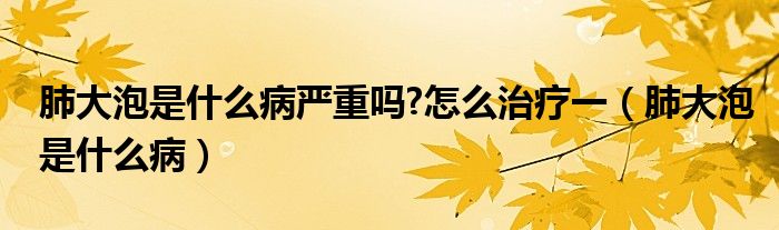 肺大泡是什么病嚴重嗎?怎么治療一（肺大泡是什么?。?class='thumb lazy' /></a>
		    <header>
		<h2><a  href=