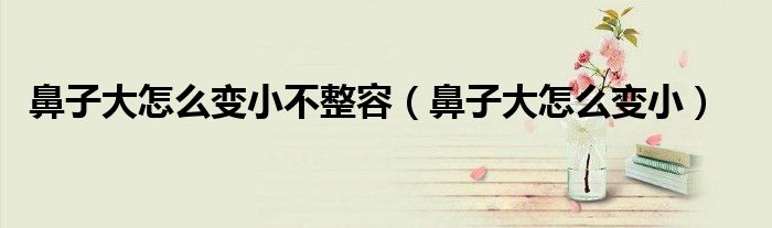 鼻子大怎么變小不整容（鼻子大怎么變?。? /></span>
		<span id=