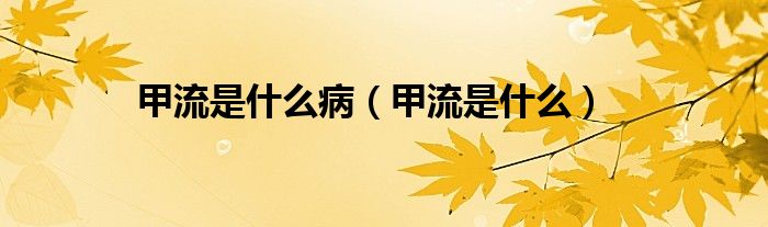 甲流是什么?。琢魇鞘裁矗?class='thumb lazy' /></a>
		    <header>
		<h2><a  href=