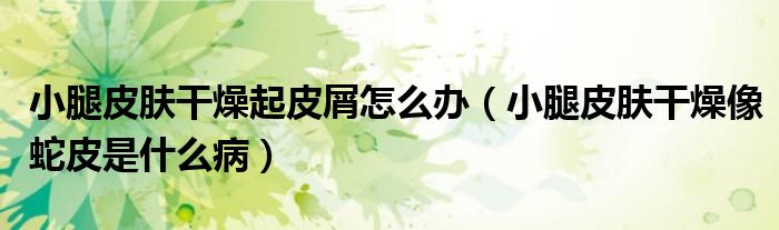 小腿皮膚干燥起皮屑怎么辦（小腿皮膚干燥像蛇皮是什么?。? /></span>
		<span id=