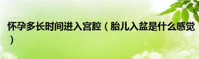 懷孕多長時(shí)間進(jìn)入宮腔（胎兒入盆是什么感覺）
