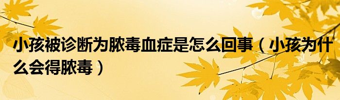 小孩被診斷為膿毒血癥是怎么回事(小孩為什么會(huì)得膿毒)