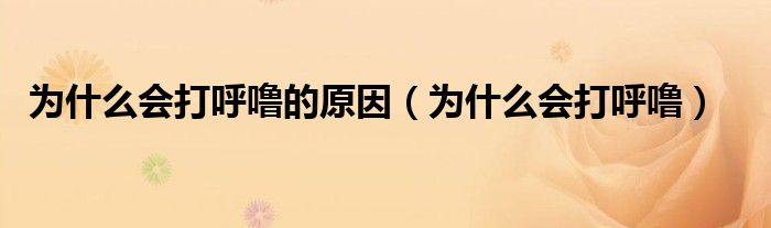 為什么會(huì)打呼嚕的原因（為什么會(huì)打呼嚕）