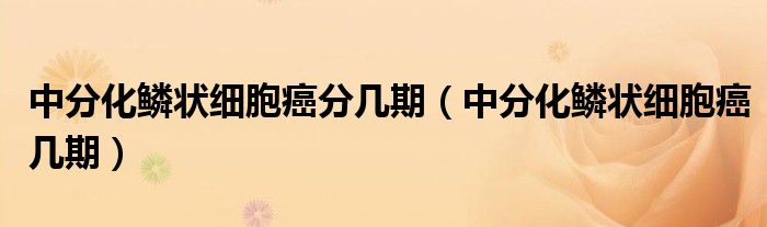 中分化鱗狀細胞癌分幾期（中分化鱗狀細胞癌幾期）