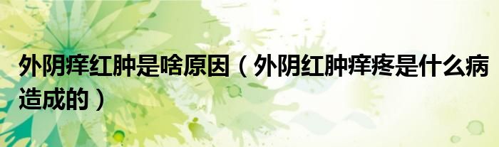 外陰癢紅腫是啥原因（外陰紅腫癢疼是什么病造成的）