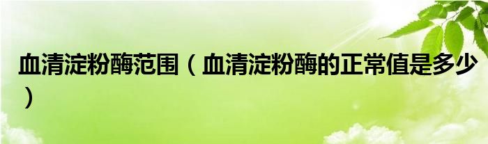 血清淀粉酶范圍（血清淀粉酶的正常值是多少）