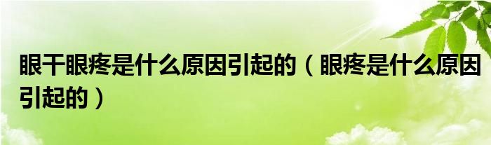 眼干眼疼是什么原因引起的(眼疼是什么原因引起的)