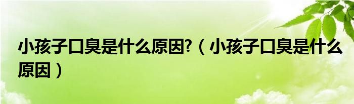 小孩子口臭是什么原因?（小孩子口臭是什么原因）