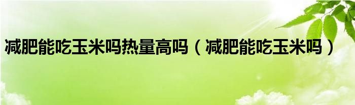 減肥能吃玉米嗎熱量高嗎(減肥能吃玉米嗎)