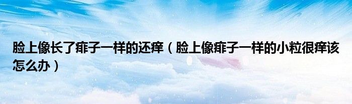 臉上像長了痱子一樣的還癢（臉上像痱子一樣的小粒很癢該怎么辦）