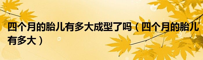 四個(gè)月的胎兒有多大成型了嗎（四個(gè)月的胎兒有多大）