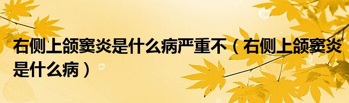 右側上頜竇炎是什么病嚴重不（右側上頜竇炎是什么?。?class='thumb lazy' /></a>
		    <header>
		<h2><a  href=