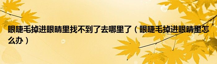 眼睫毛掉進(jìn)眼睛里找不到了去哪里了（眼睫毛掉進(jìn)眼睛里怎么辦）