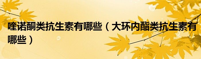 喹諾酮類抗生素有哪些(大環(huán)內(nèi)酯類抗生素有哪些)