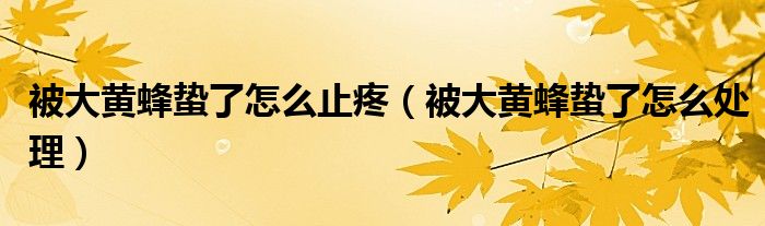 被大黃蜂蟄了怎么止疼（被大黃蜂蟄了怎么處理）