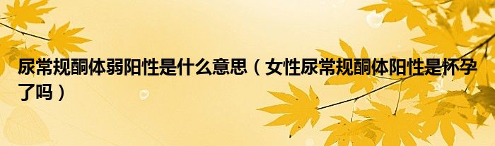 尿常規(guī)酮體弱陽性是什么意思(女性尿常規(guī)酮體陽性是懷孕了嗎)