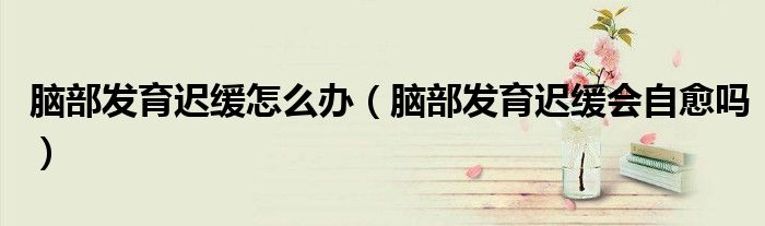 腦部發(fā)育遲緩怎么辦(腦部發(fā)育遲緩會自愈嗎)