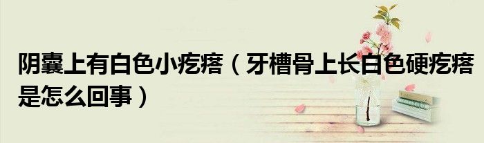 陰囊上有白色小疙瘩（牙槽骨上長白色硬疙瘩是怎么回事）