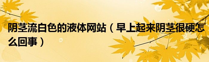 陰莖流白色的液體網(wǎng)站(早上起來陰莖很硬怎么回事)